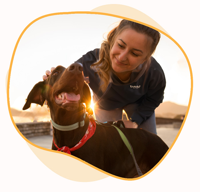 Doggy Daycares Near Me in St Johns