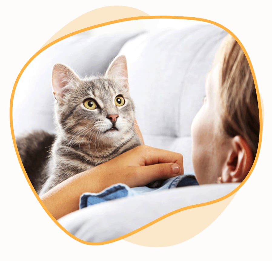 Pets Hotel Near Me in St Johns